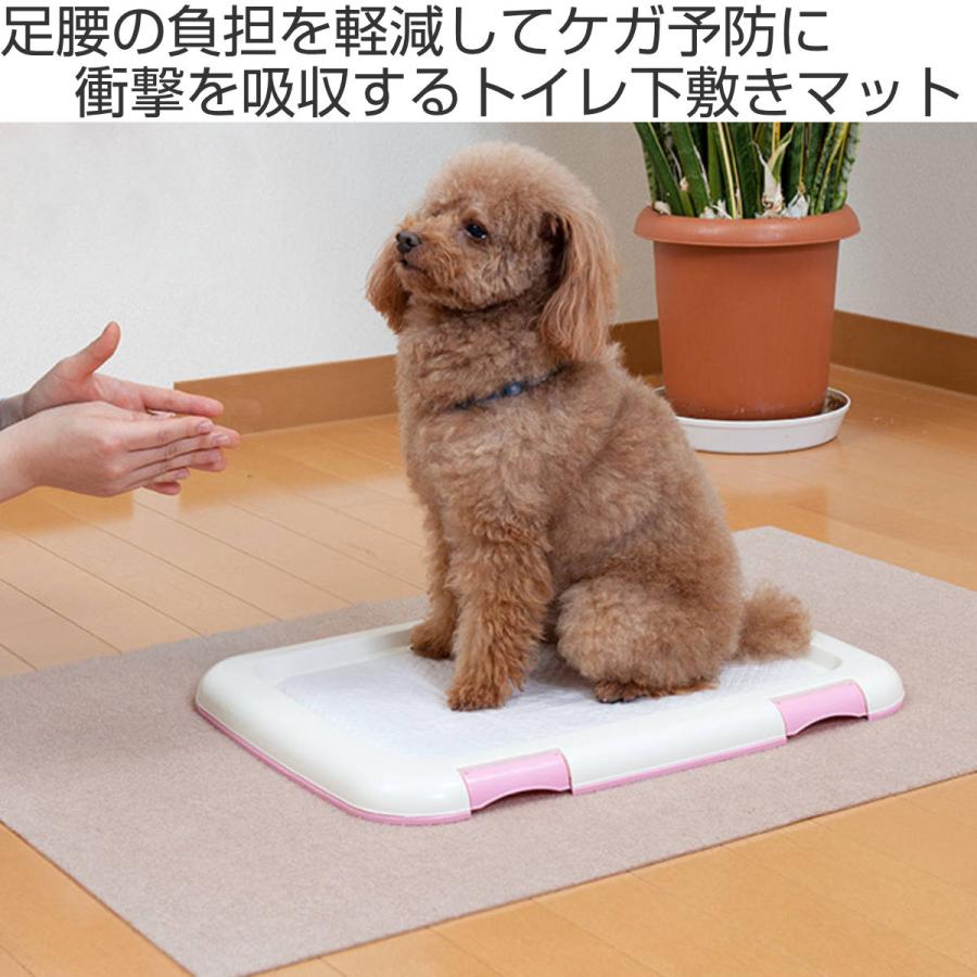 ペットマット ペット用トイレ下敷きマット 犬 猫 サンコー （ トイレ下敷きマット トイレ おしっこ 汚れ防止 撥水 洗える おくだけ吸着 ）｜livingut｜02