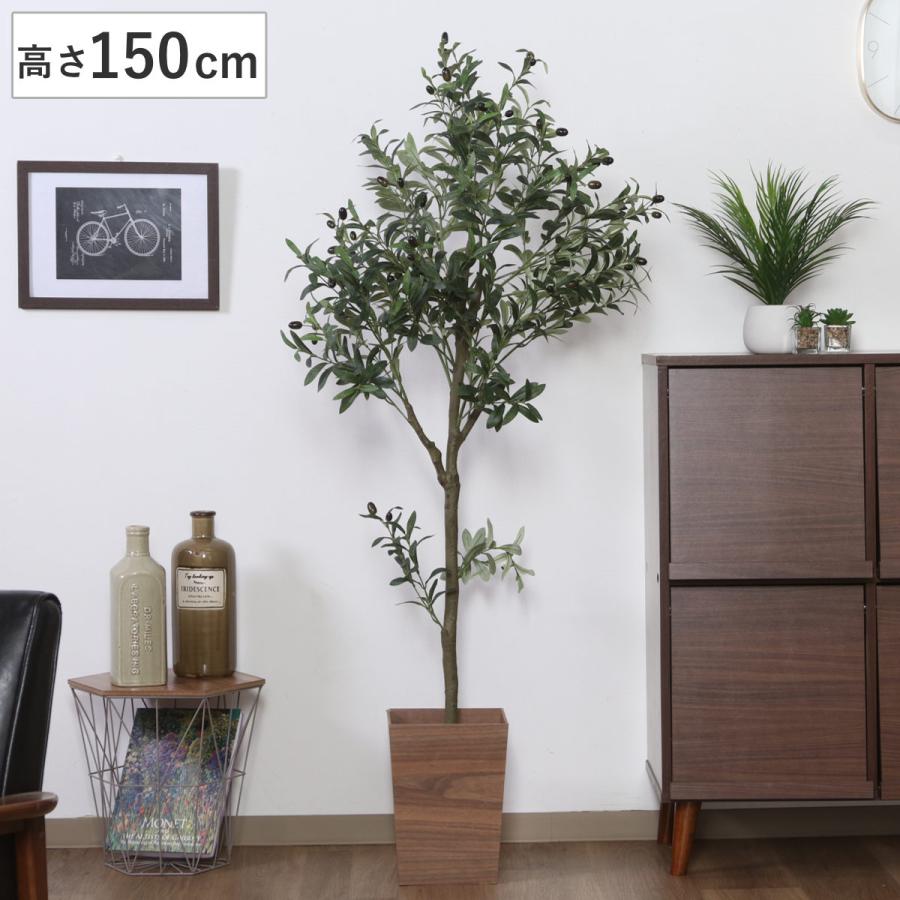 不二貿易（Fuji Boeki） フェイクグリーン オリーブ 高さ150cm