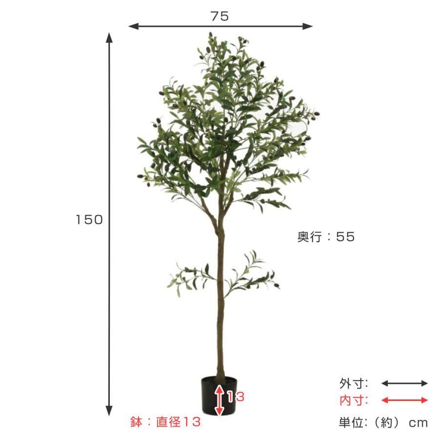 不二貿易 フェイクグリーン オリーブ 高さ150cm ジョイント式 不二貿易 フェイクグリーン オリーブ 高さ150cm ジョイント式