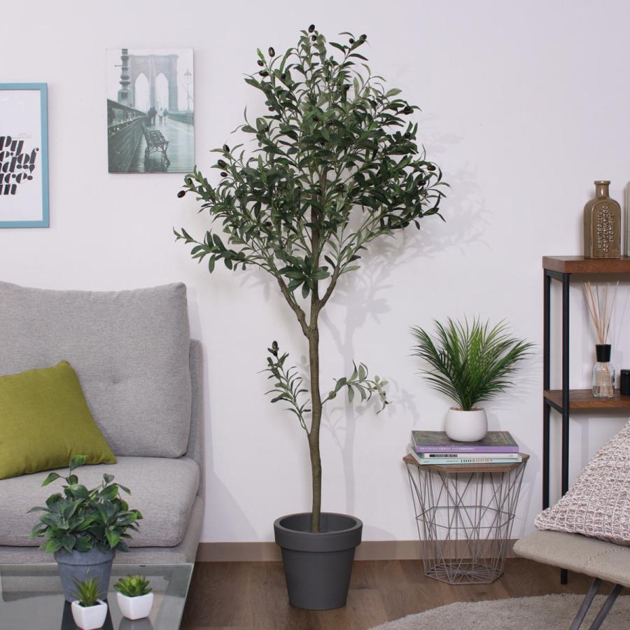 不二貿易（Fuji Boeki） フェイクグリーン オリーブ 高さ150cm