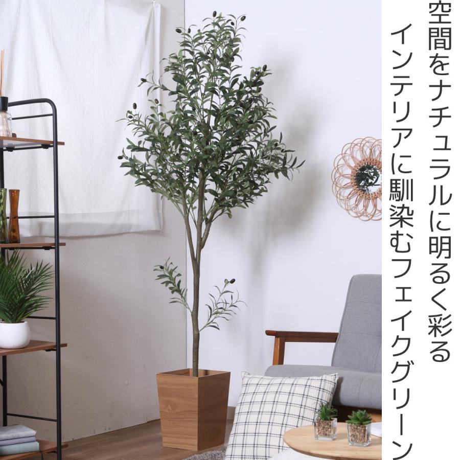 不二貿易（Fuji Boeki） フェイクグリーン オリーブ 高さ180cm