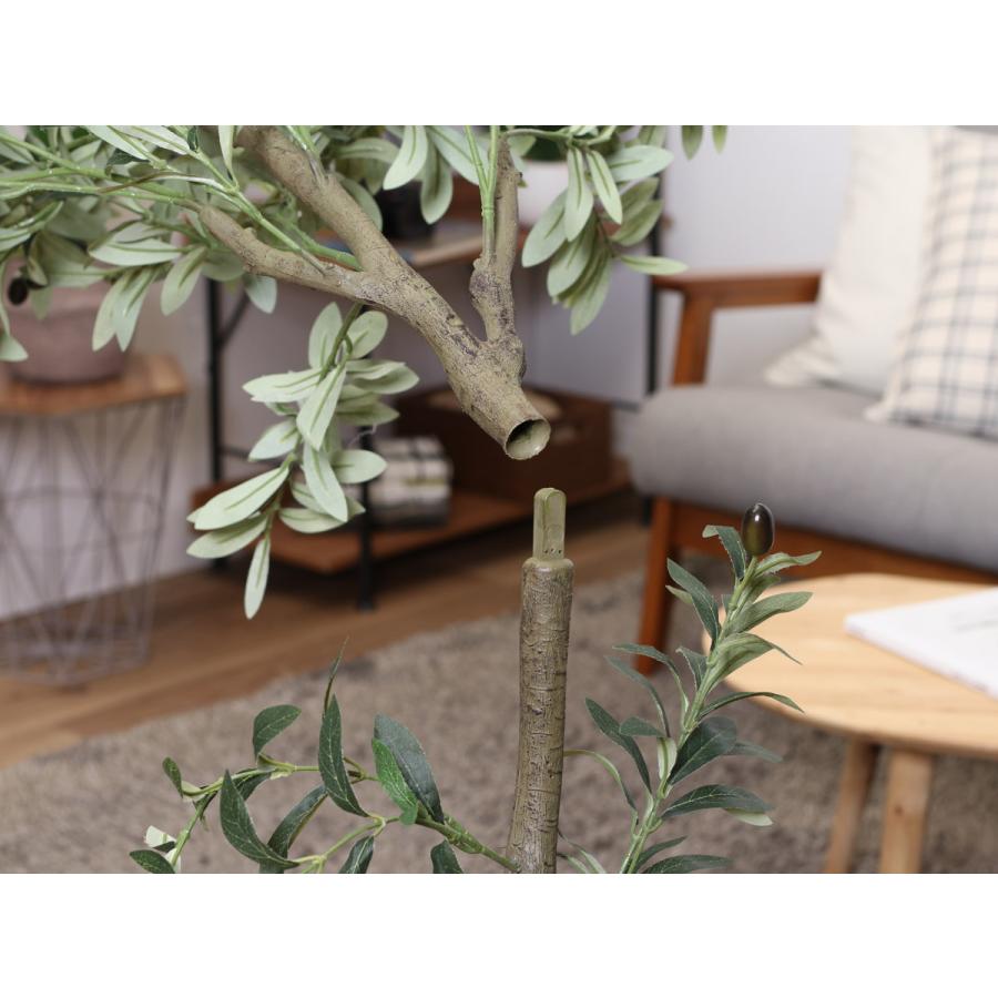 不二貿易（Fuji Boeki） フェイクグリーン オリーブ 高さ180cm