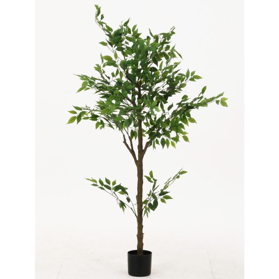 不二貿易（Fuji Boeki） フェイクグリーン フィカス 高さ160cm