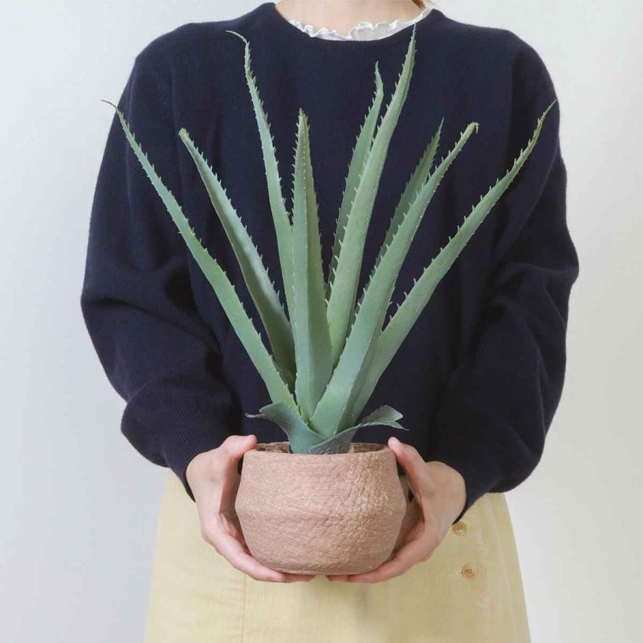 不二貿易（Fuji Boeki） フェイクグリーン アロエ 高さ45cm セメント