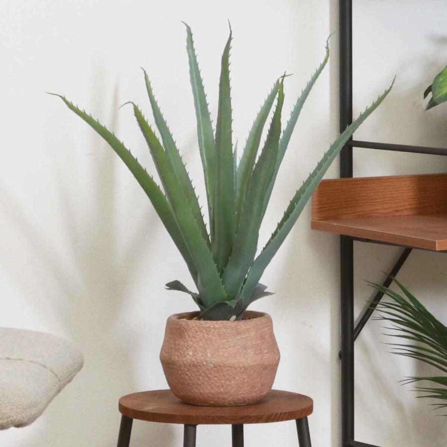 不二貿易（Fuji Boeki） フェイクグリーン アロエ 高さ45cm セメント