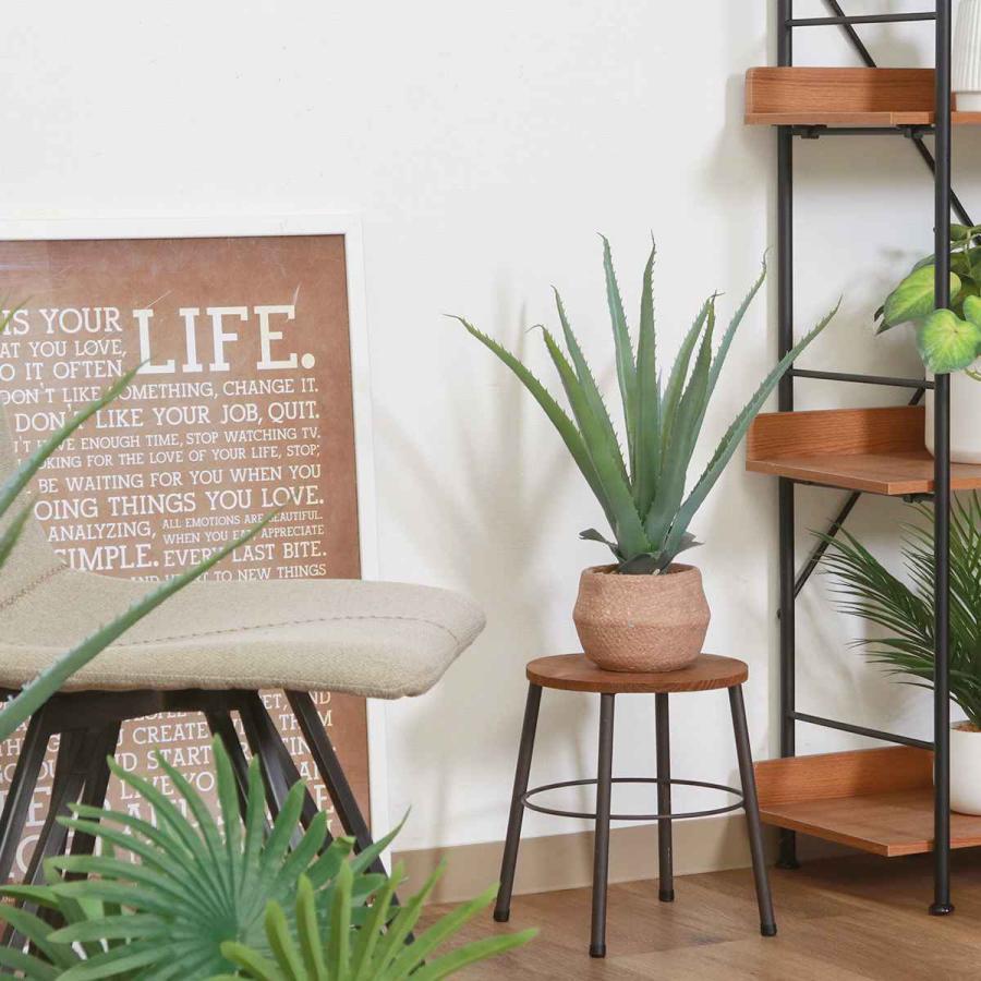 不二貿易（Fuji Boeki） フェイクグリーン アロエ 高さ45cm セメント