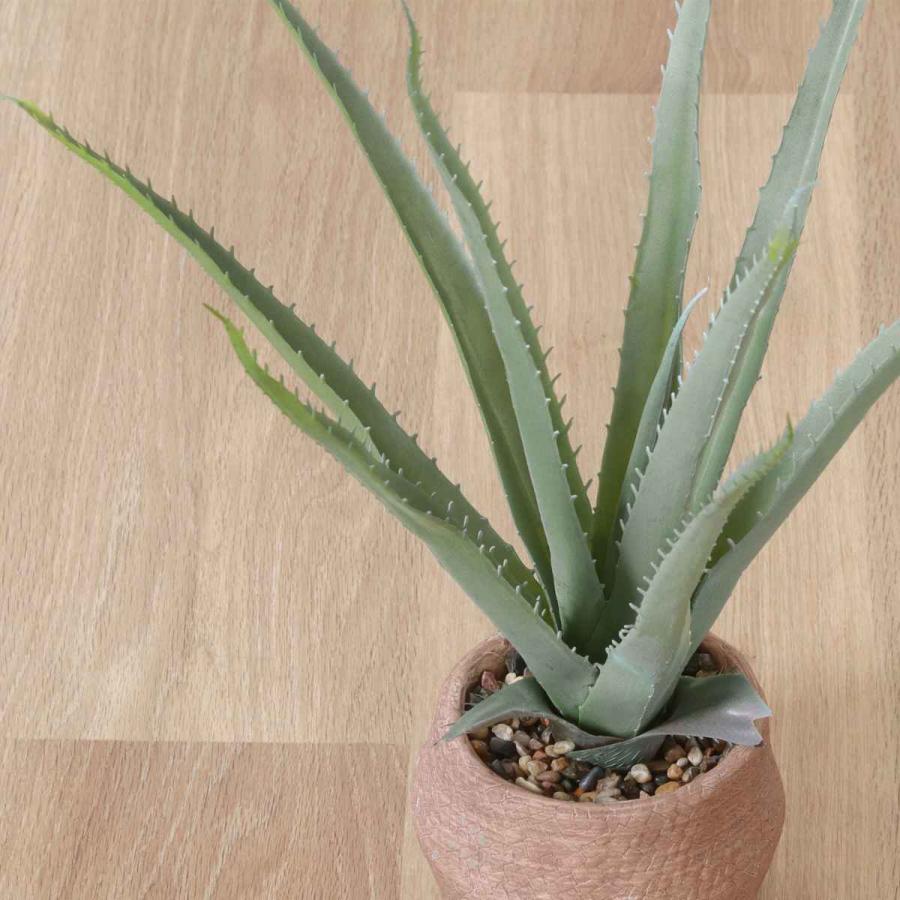 不二貿易（Fuji Boeki） フェイクグリーン アロエ 高さ45cm セメント