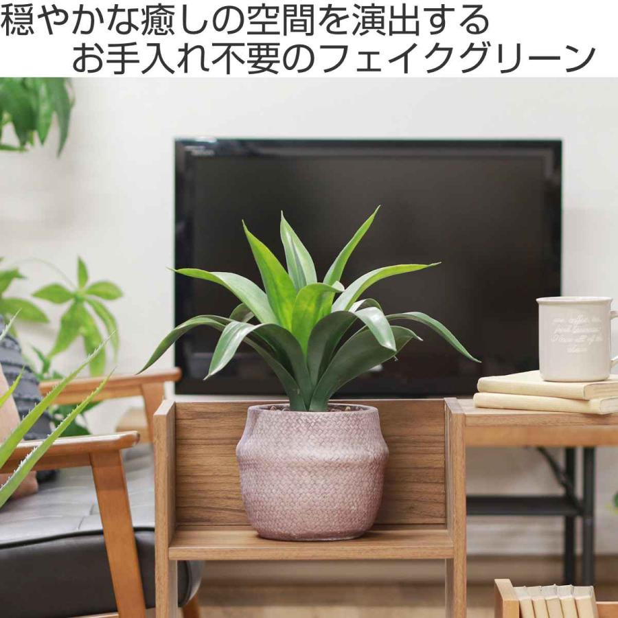 不二貿易（Fuji Boeki） フェイクグリーン アガベ 高さ40cm セメント