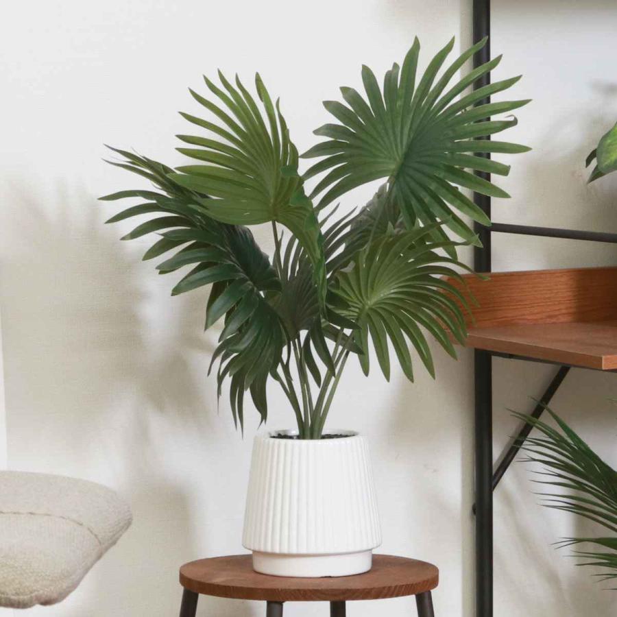 不二貿易（Fuji Boeki） フェイクグリーン パナマソウ 高さ50cm