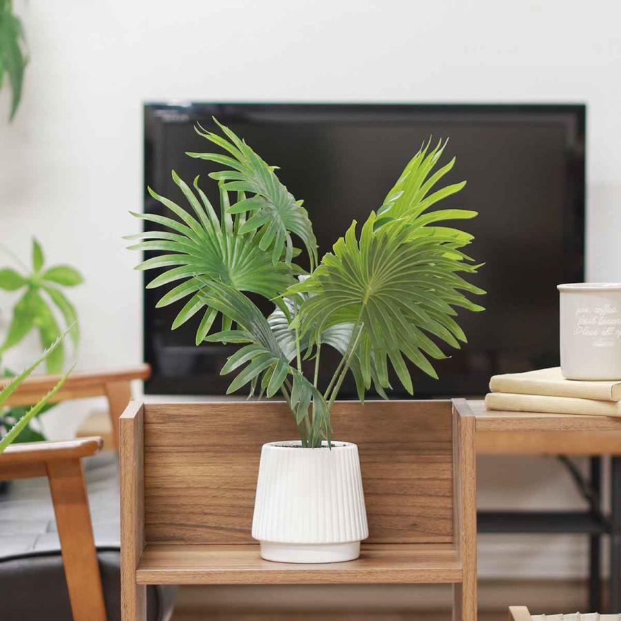 人工観葉植物 高さ約90cm セラミックポット 不二貿易（Fuji Boeki） フェイクグリーン パナマソウ 高さ50cm