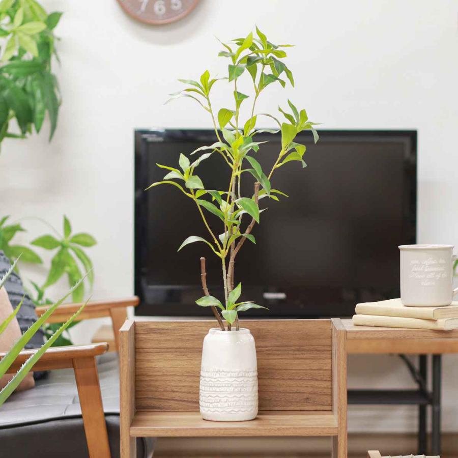 不二貿易（Fuji Boeki） フェイクグリーン ギンモクセイ 高さ66cm