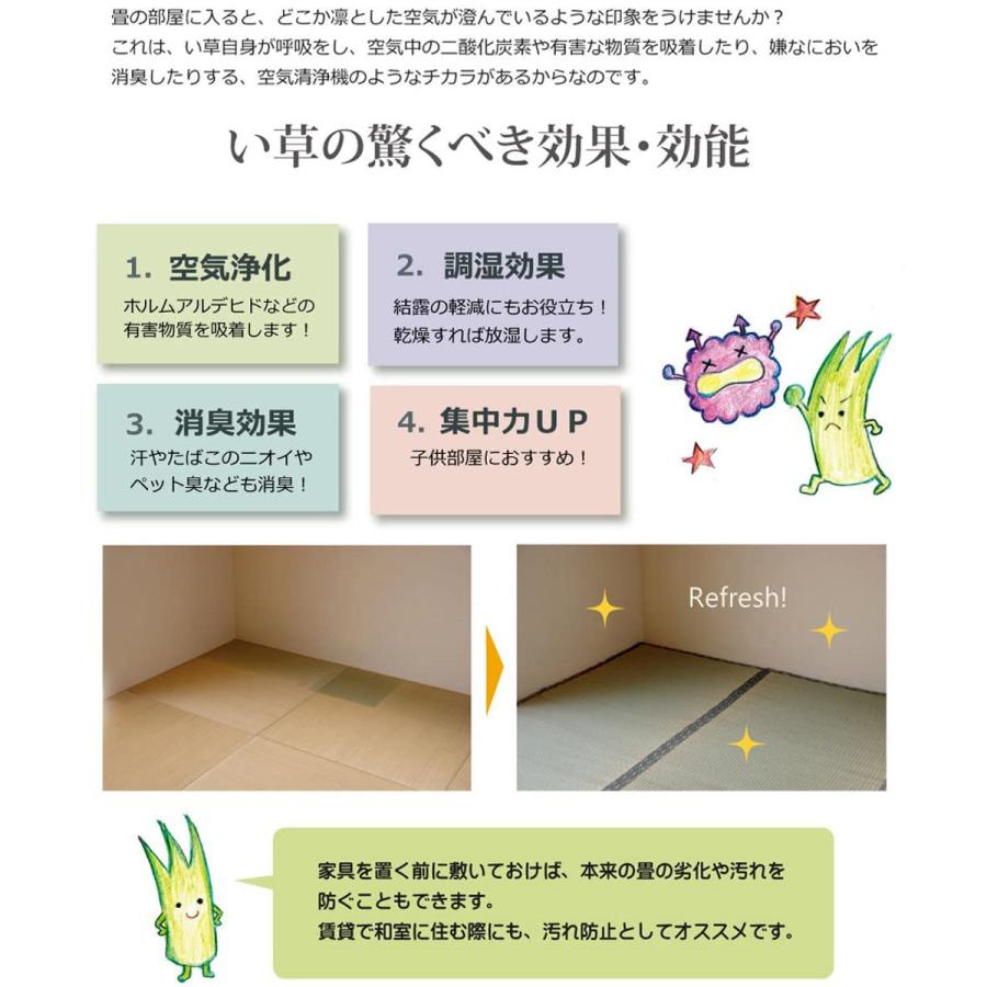 い草上敷き 純国産 い草 カーペット 糸引織 湯沢 本間8畳 約382 い草上敷き 純国産 い草 カーペット 糸引織 湯沢 本間8畳 約382