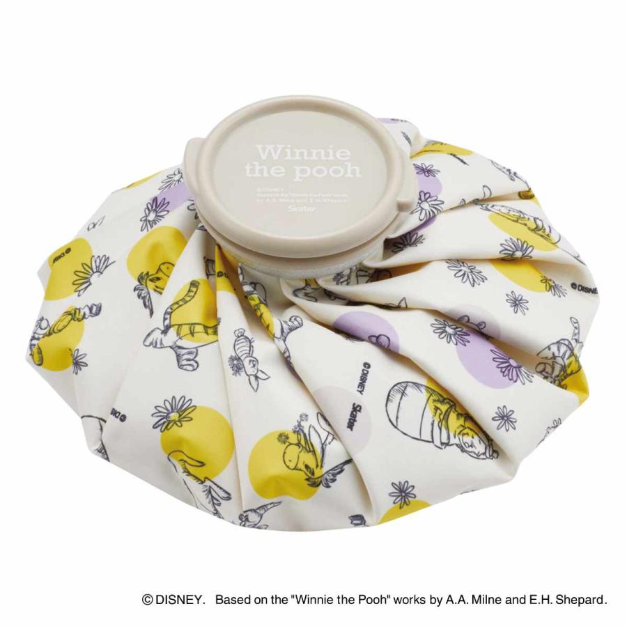 スケーター 氷のう アイスバッグ Mサイズ キャラクター （ 氷嚢 氷袋