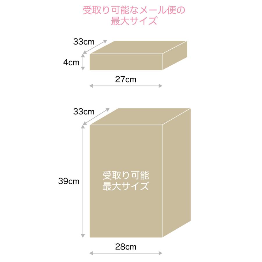 宅配ボックス 郵便ポスト ロッカー （ 宅配 ボックス ポスト ポスト一体型 一戸建て 大容量 2段 ）｜livingut｜06