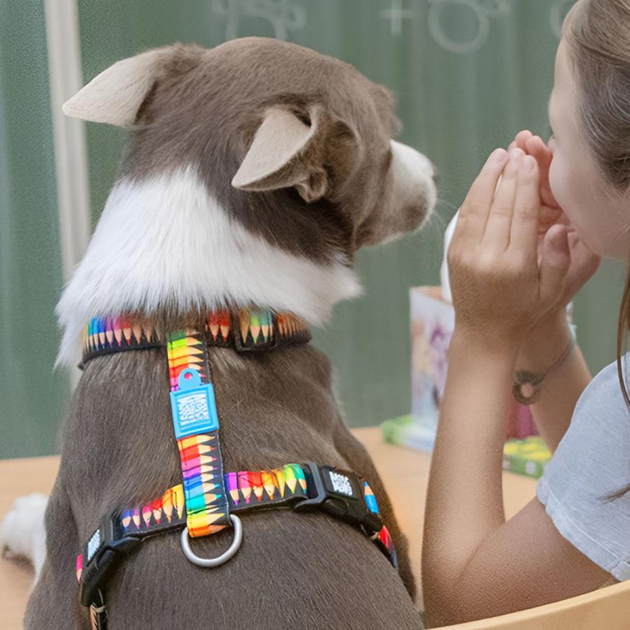 ハーネス 小型犬 XS マックス＆モーリー 犬 （ 犬用 犬用ハーネス 胴輪 軽量 脱げにくい 抜けにくい かわいい おしゃれ ）｜livingut｜18