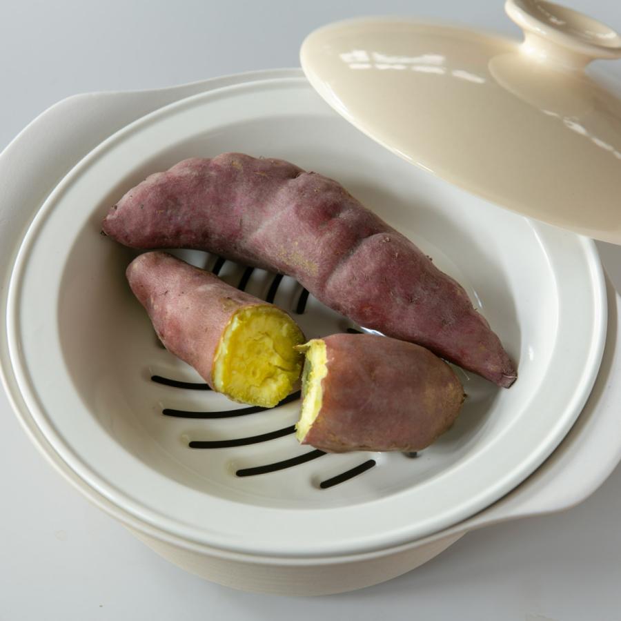 新品未使用 磁性鍋 Lサイズ (深鍋 浅鍋 すのこ 中蓋) 国産(常滑焼