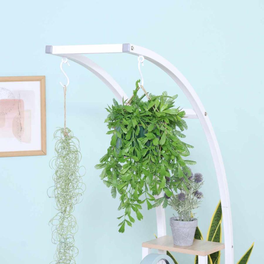 アーチ型 幅80cm プランターラック （ ディスプレイ ラック シェルフ 棚 飾り棚 アーチ フック付 【表面実装】 ）