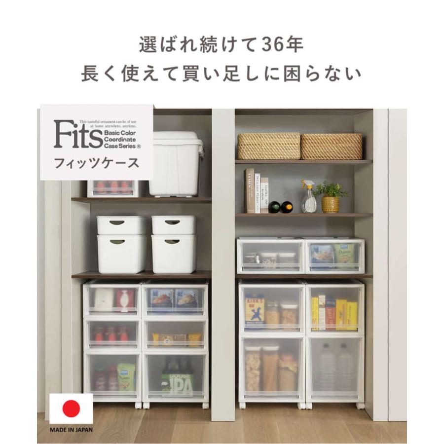 収納 Fits 収納ケース フィッツ フィッツケース FC40-3540 （ 幅35×奥行40