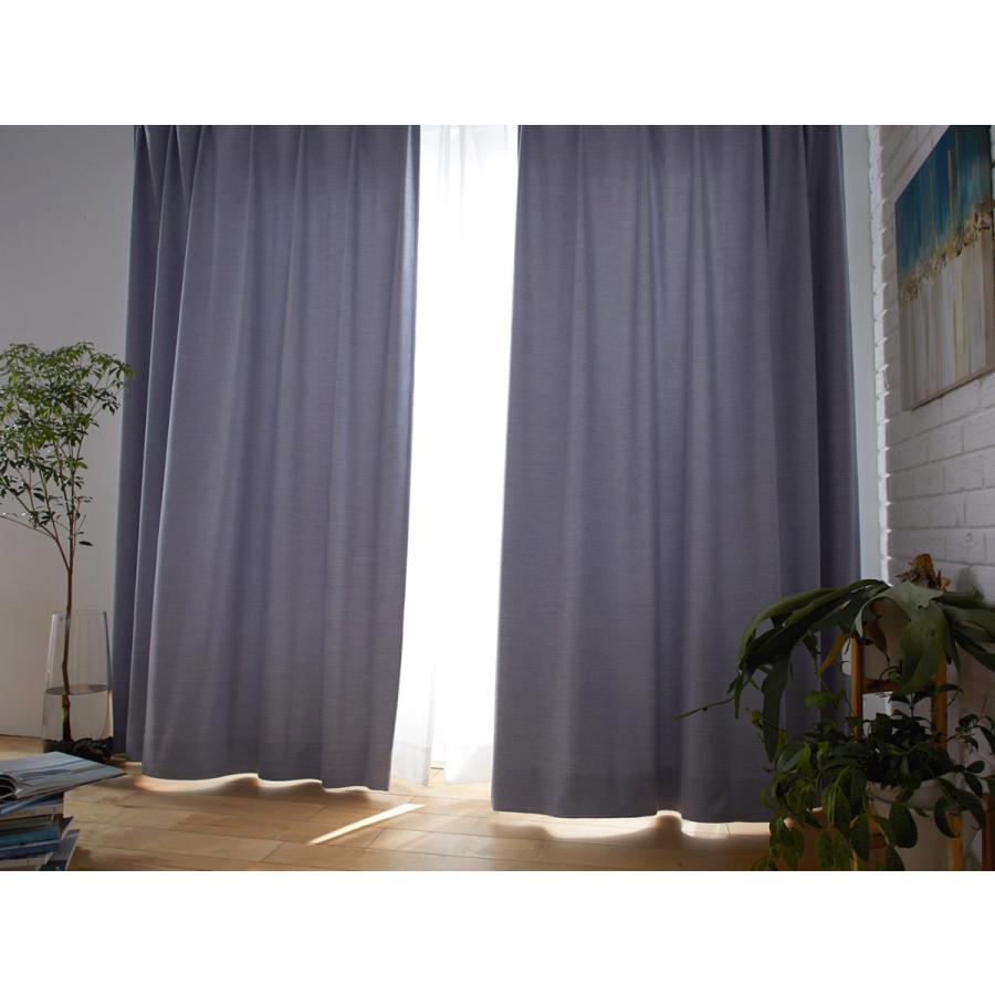 スミノエ　幅100×高さ200　2枚　ドレープカーテン スミノエ カーテン 遮光2級 100×200cm ドレープカーテン 形状記憶加工