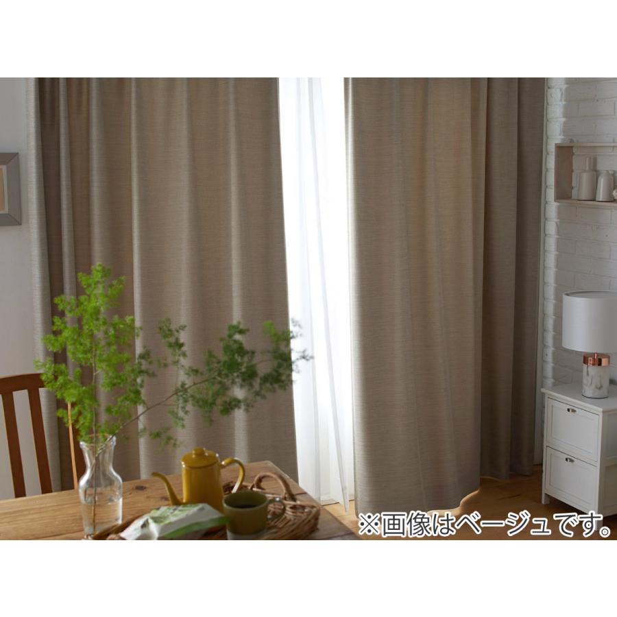 スミノエ カーテン 遮光2級 100×200cm ドレープカーテン 形状記憶加工