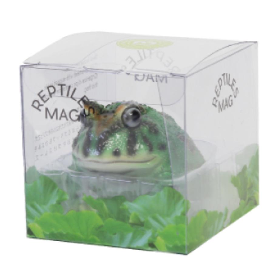 magnet オブジェ REPTILES MAG ツノガエル （ クリップホルダー 置き物