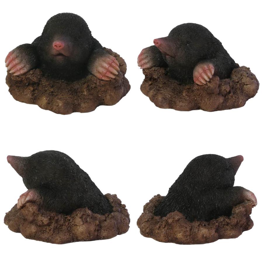 magnet オブジェ FOREST MAG モグラ マグネット付き （ クリップ