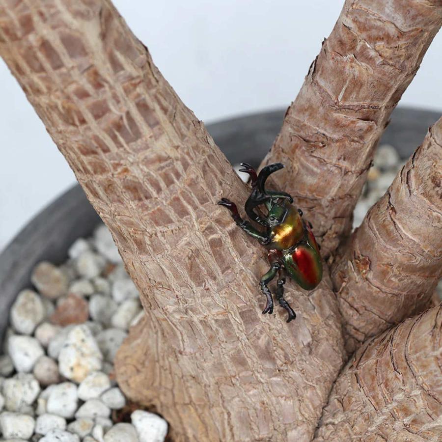 magnet オブジェ FOREST MAG ニジイロクワガタ （ クリップホルダー