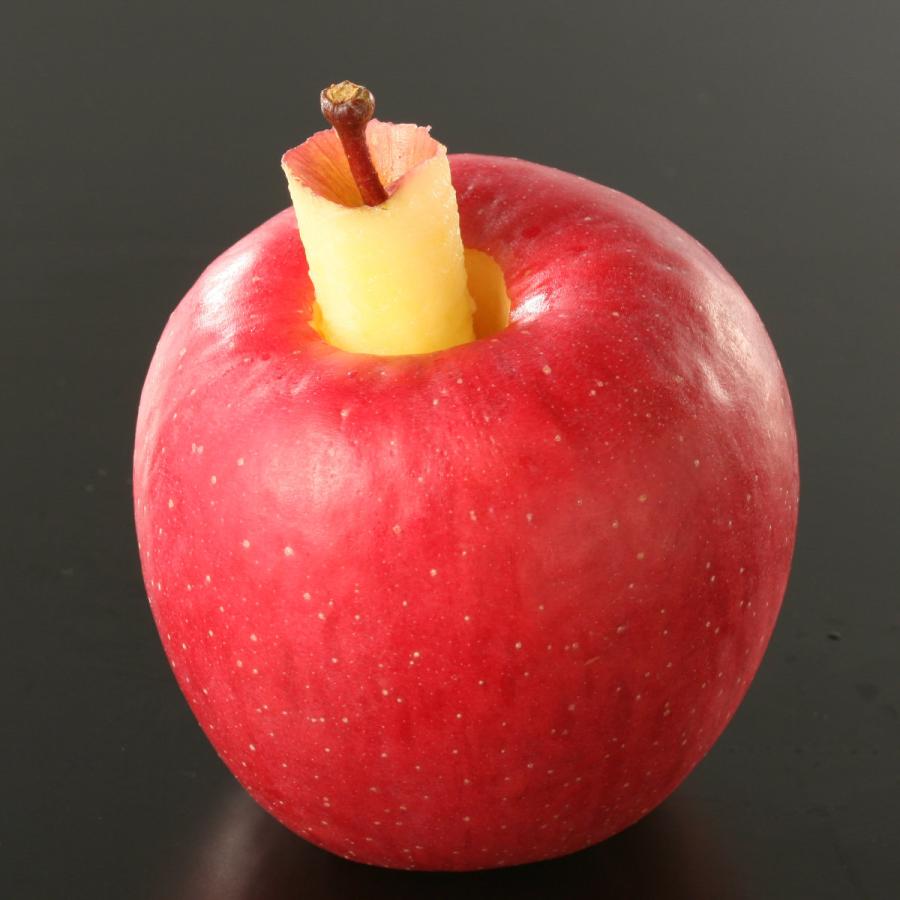 芯抜き りんご用 リンゴの芯取り 日本製 貝印 （ りんごの芯抜き りんご 芯取り ステンレス製 食洗機対応 ）｜livingut｜02