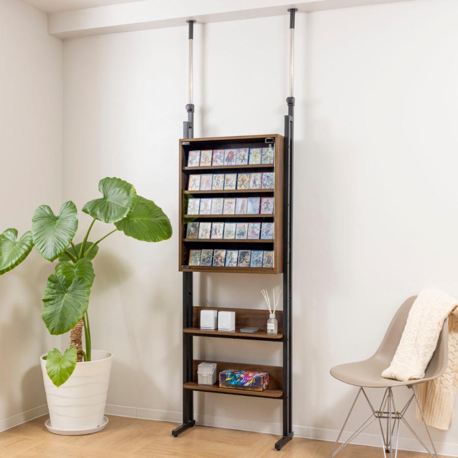 ディスプレイラック（送料12000円込） サン・ハーベスト 突っ張り ディスプレイラック 幅60cm カード 耐震