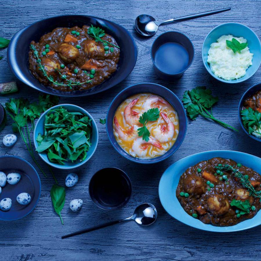 レイノー ブルー マリーン スープ皿 2枚セット 2枚セット レイノー ブルー マリーン スープ皿 【公式通販】