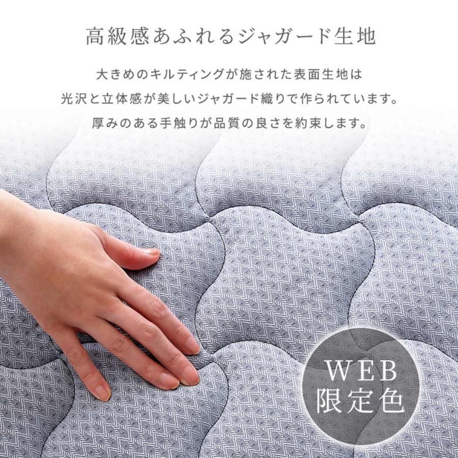 最大級 マットレス シングル フランスベッド 抗菌防臭 防ダニ 日本製 2年保証 （ 硬め 高密度スプリング 両面仕様 厚さ20cm ）