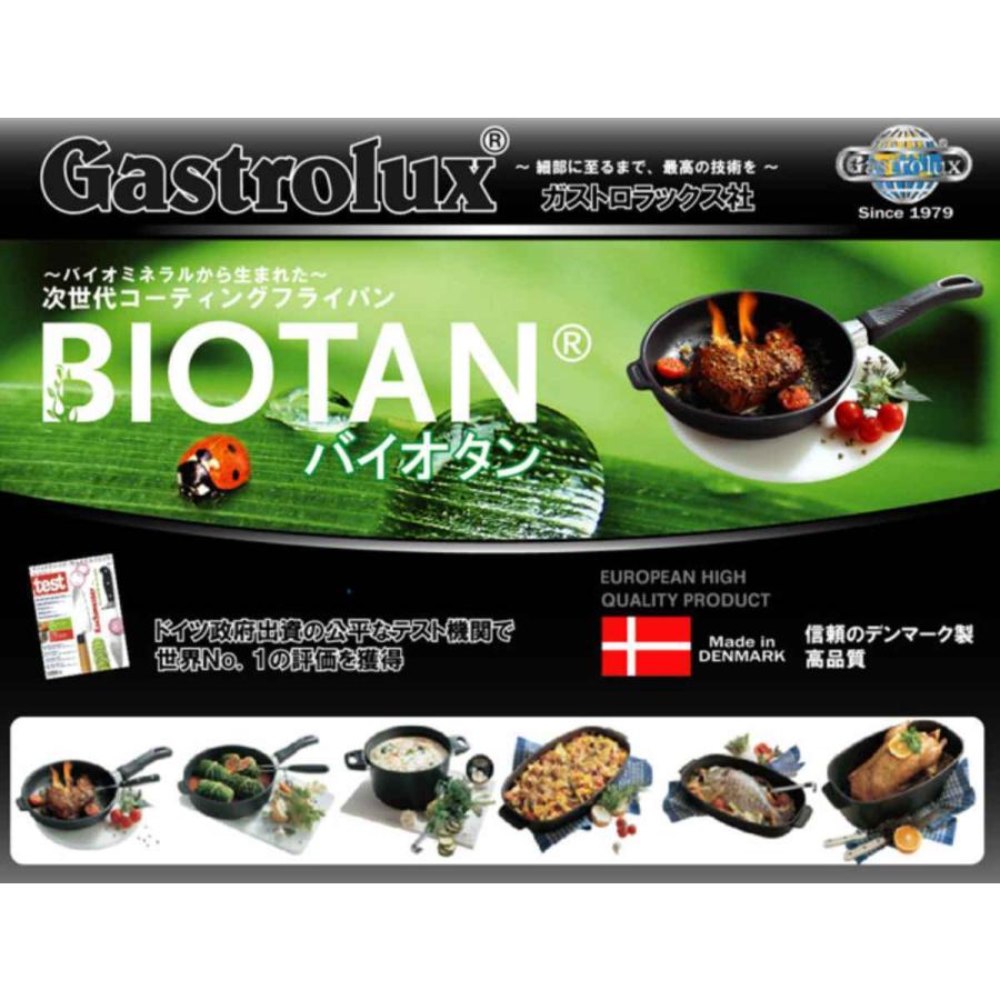 バイオタン 魚料理用鍋 ガラス蓋付き ガス火専用 （ BIOTAN ガス火 直
