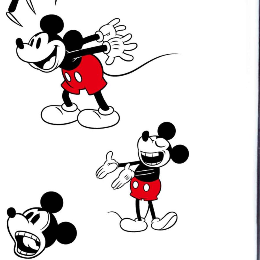 ミッキー★4本★B品オーストリッチ ホットピンク アスベル 冷水筒 ピッチャー 2.1L 横置き 縦置き ドリンクビオ