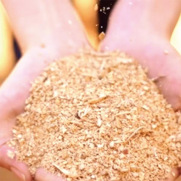 消臭 ヒノキ HINOKI POWDER おがくず 1L （ ウッドパウダー 土かくし