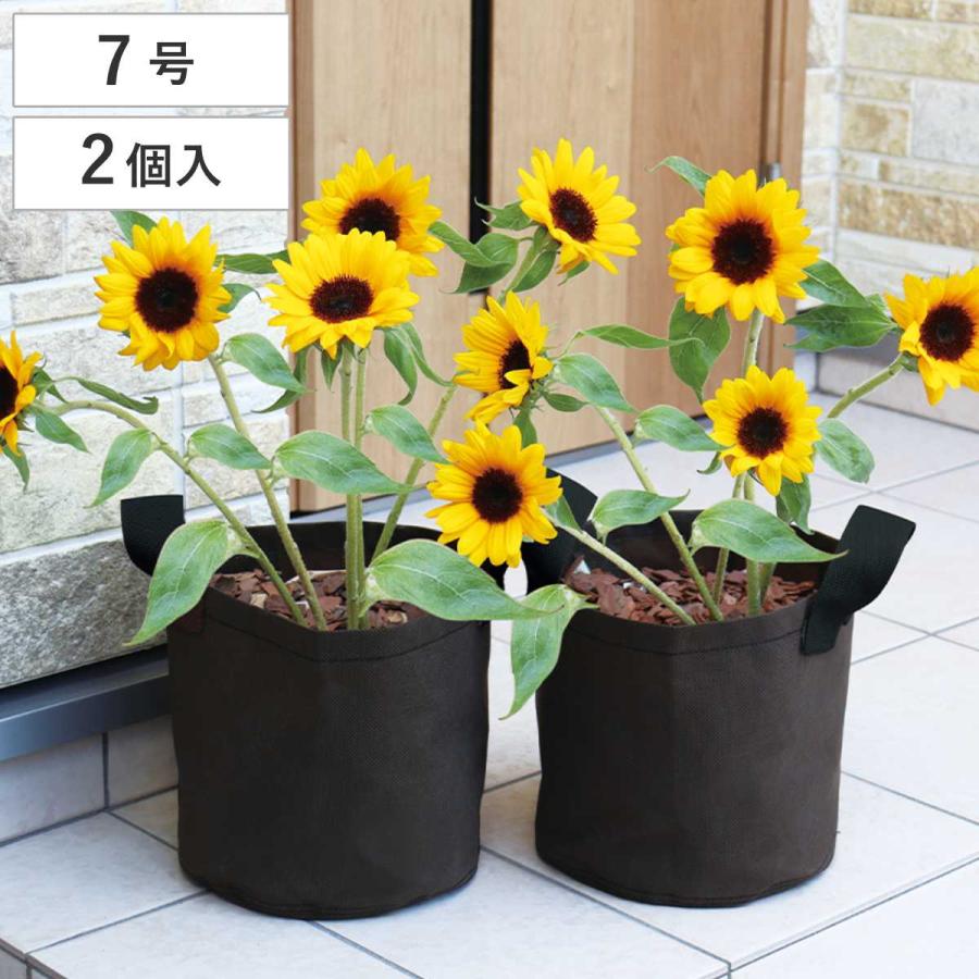 鉢カバー　プランター　ポット 楽天市場】鉢カバー プランター カバー 大型 人気 おしゃれ インナー