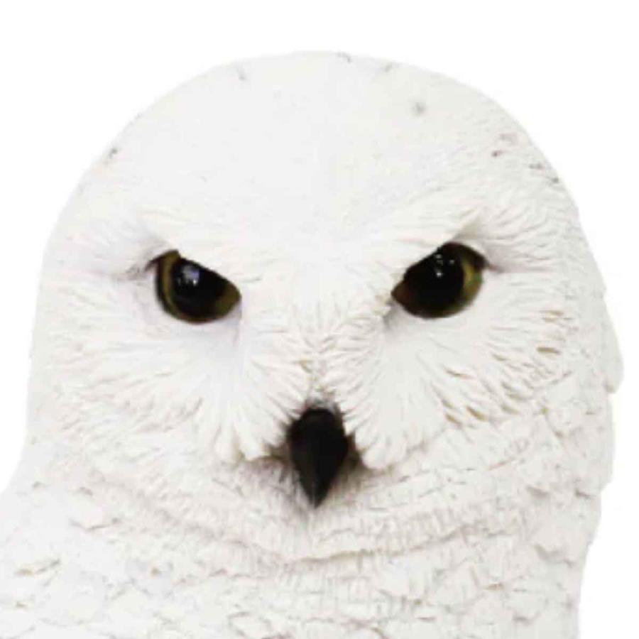 magnet オブジェ シロフクロウ ペットバンク 貯金箱 （ 置物 ふくろう