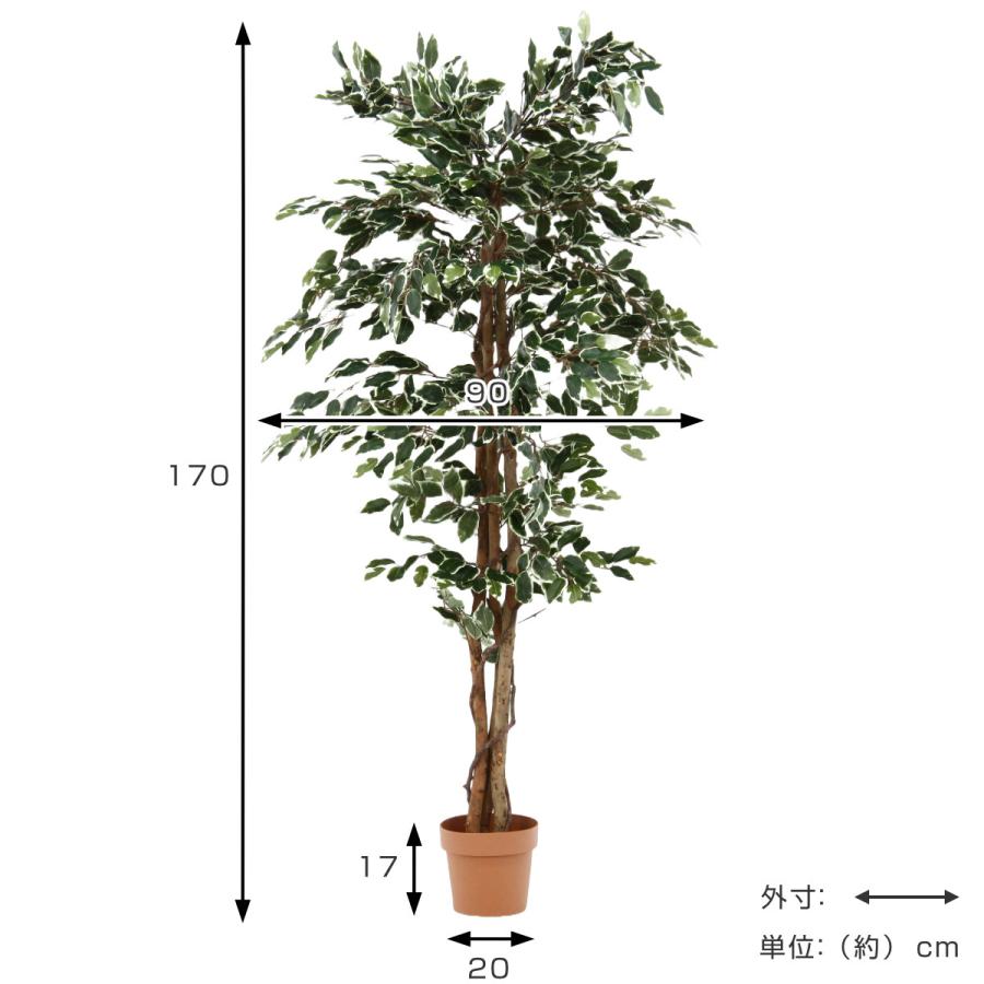 不二貿易（Fuji Boeki） フェイクグリーン フィカス 高さ170cm 斑入り