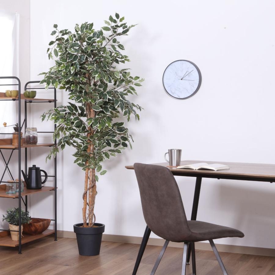 不二貿易（Fuji Boeki） フェイクグリーン フィカス 高さ170cm 斑入り