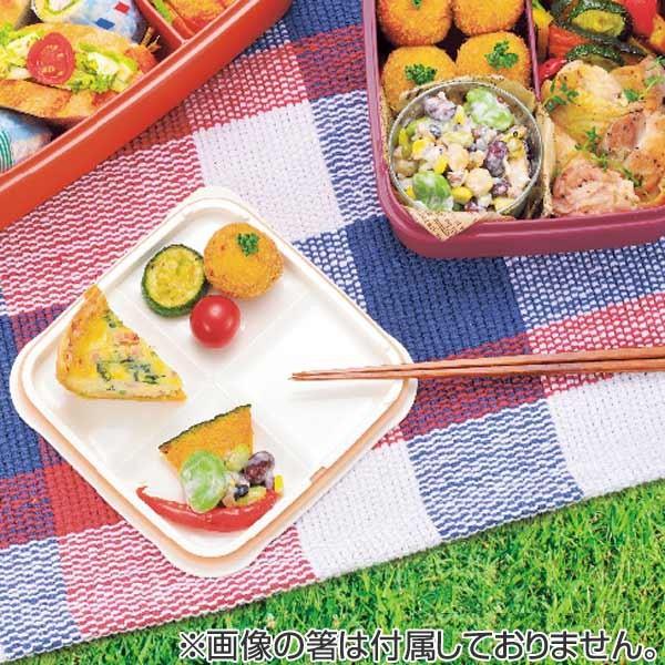 THERMOS（サーモス） お弁当箱 ファミリーフレッシュランチボックス 2