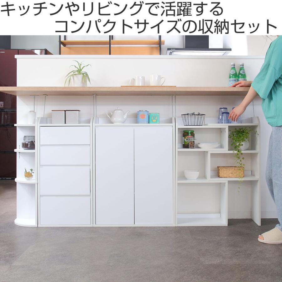 カウンター下収納 薄型 4タイプ フルセット ( カウンター下 カウンター下収納 薄型 4タイプ フルセット ( カウンター下