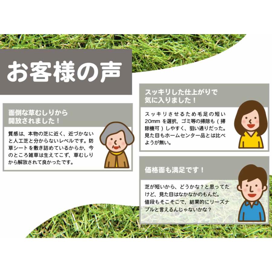 unionbiz（ユニオンビズ） 人工芝 メモリーターフ スウィート 1m×10m