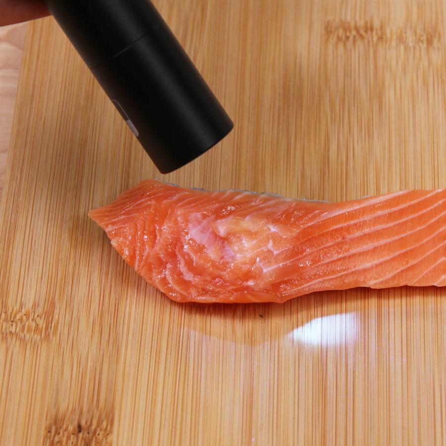 不二貿易（Fuji Boeki） アニサキスライト 充電式 寄生虫対策