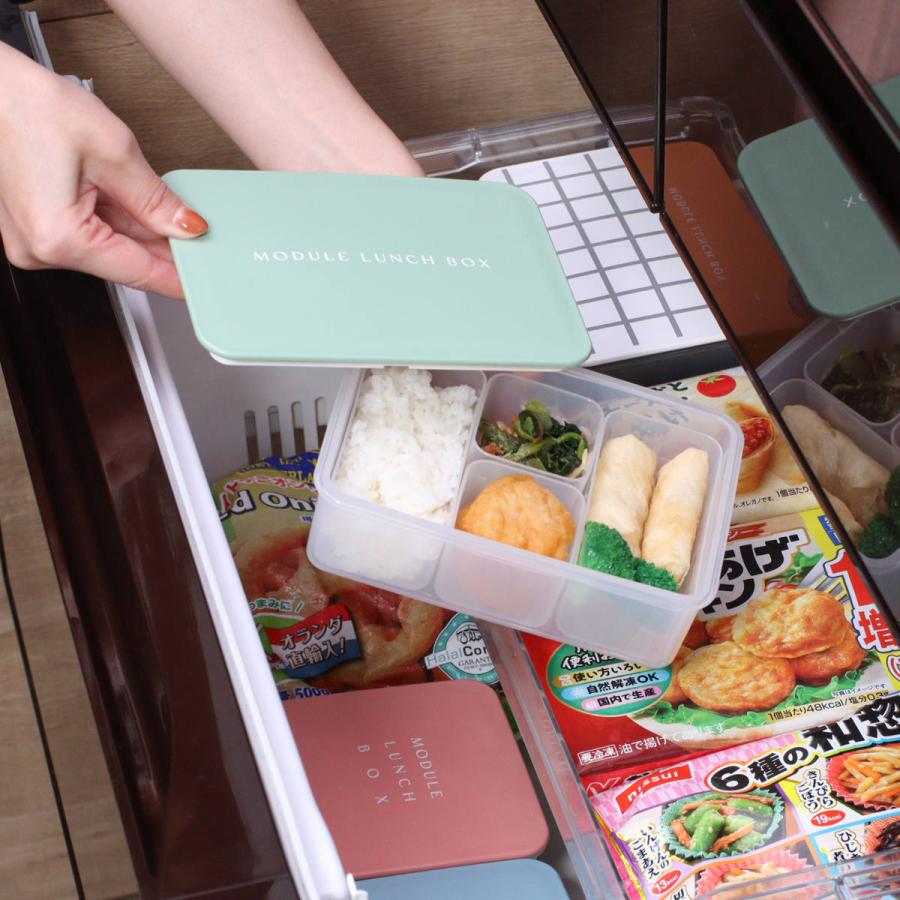 弁当箱 冷凍 1段 600ml MODULE ランチ L ( お弁当箱 レンジ対応 弁当箱 冷凍 1段 600ml MODULE ランチ L ( お弁当箱 レンジ対応