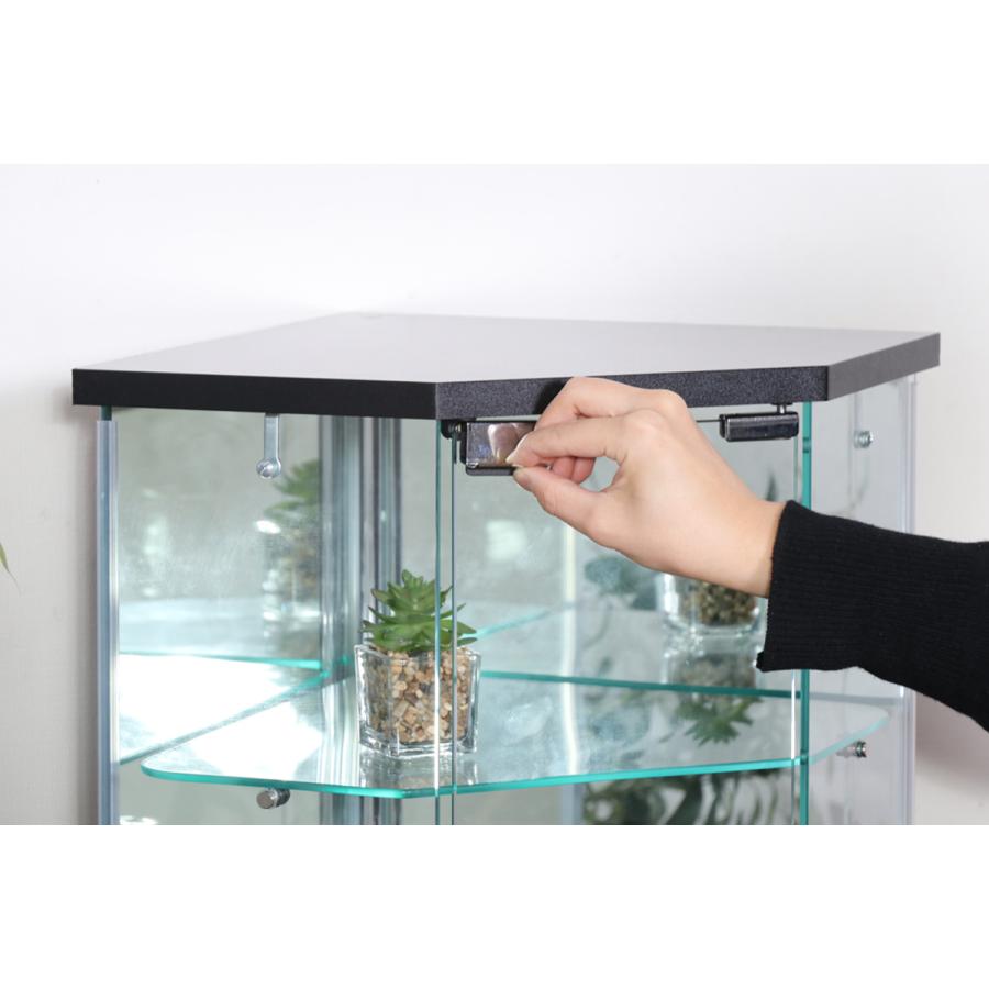 不二貿易（Fuji Boeki） コレクションケース ガラス コーナー型 五角形