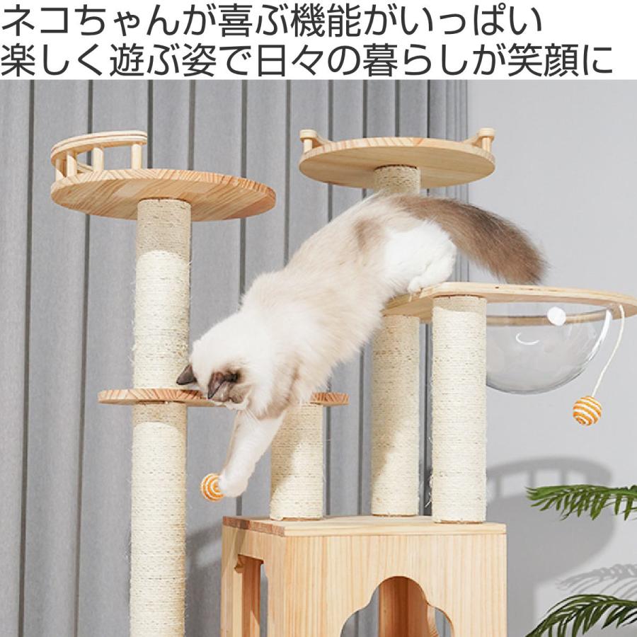 キャットタワー ねこぞく ツインタワー 木製 据え置き キャットタワー ねこぞく ツインタワー 木製 据え置き