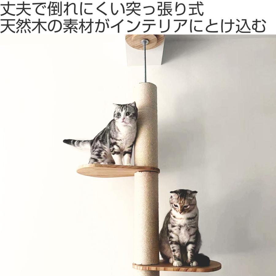 キャットタワー ねこぞく ブーレ 木製 突っ張り スリム キャットタワー ねこぞく ブーレ 木製 突っ張り スリム