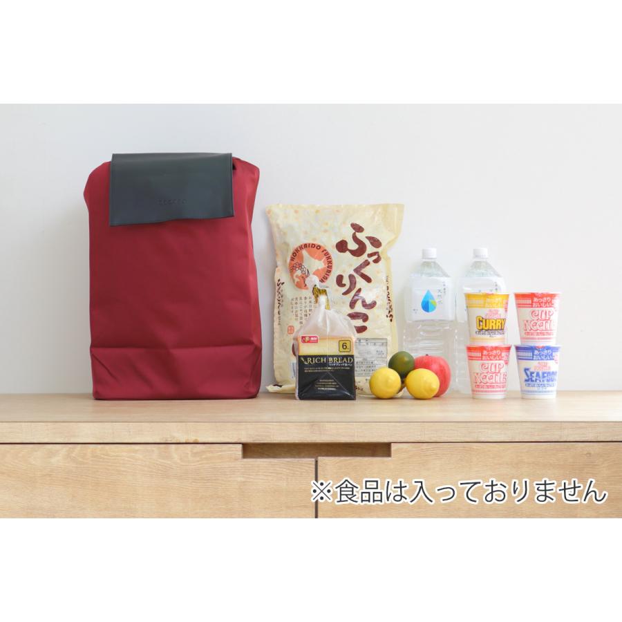 ショッピングカート cocoro モード ルーチェ カート 保冷 保温