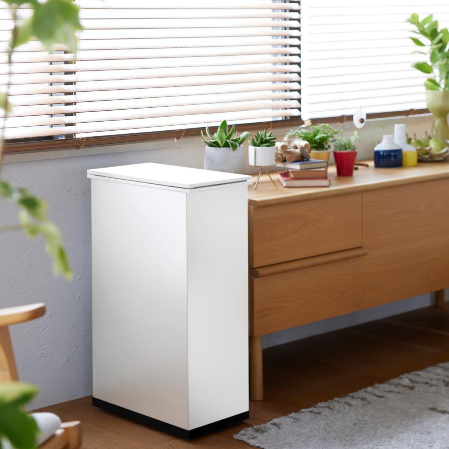 SANKA ゴミ箱 20L 冷やすゴミ箱 CLEAN BOX ( ごみ箱 冷凍 20 SANKA ゴミ箱 20L 冷やすゴミ箱 CLEAN BOX ( ごみ箱 冷凍 20