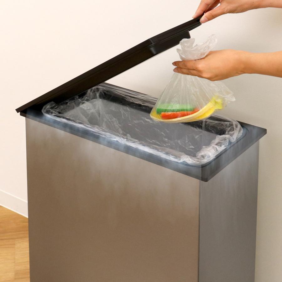 SANKA ゴミ箱 20L 冷やすゴミ箱 CLEAN BOX ( ごみ箱 冷凍 20 SANKA ゴミ箱 20L 冷やすゴミ箱 CLEAN BOX ( ごみ箱 冷凍 20