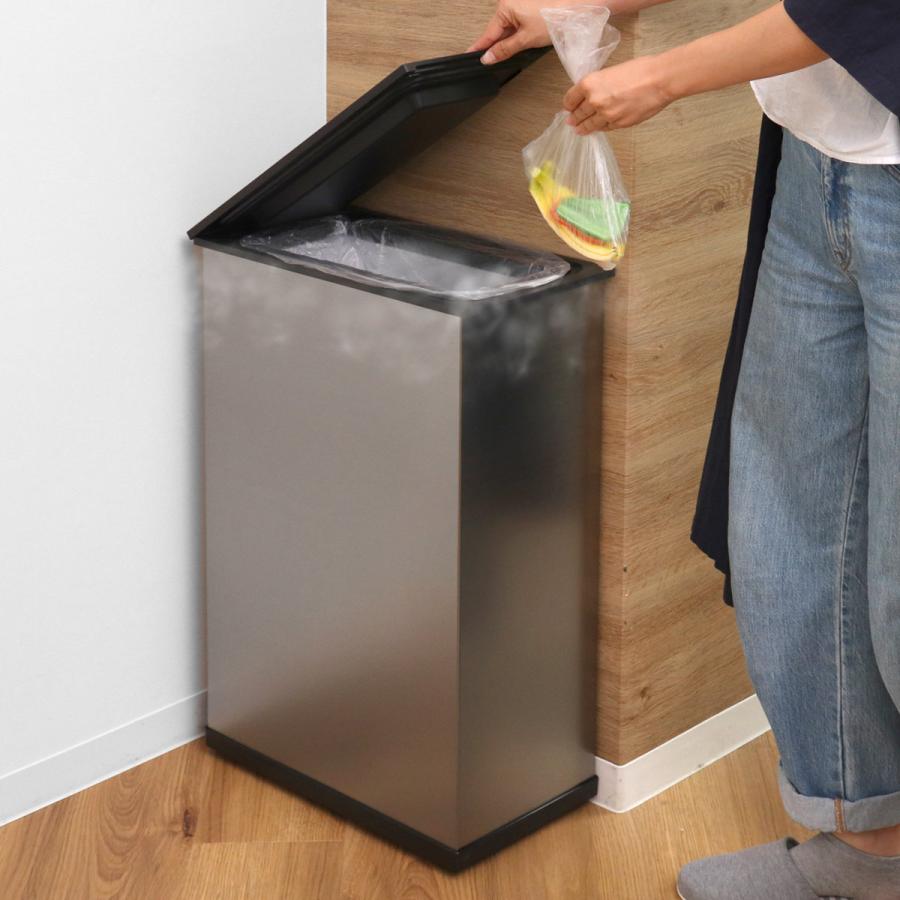 SANKA ゴミ箱 20L 冷やすゴミ箱 CLEAN BOX ( ごみ箱 冷凍 20 SANKA ゴミ箱 20L 冷やすゴミ箱 CLEAN BOX ( ごみ箱 冷凍 20